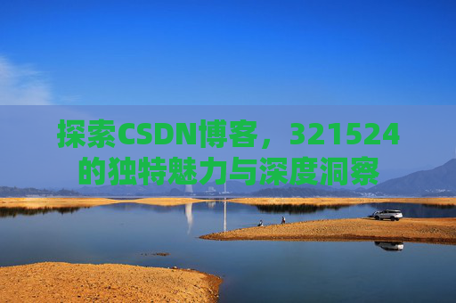 探索CSDN博客，321524的独特魅力与深度洞察